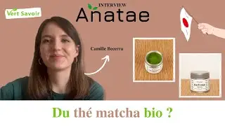 Anatae - Du th&eacute; matcha bio (sans amertume)
