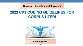 2023 CPT coding for corpus uteri   Surgery female genital system