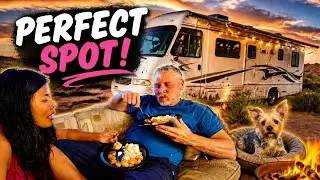 Scallops, Dogs & Free Camping: The Perfect Adventure