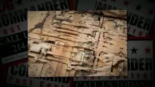 How the Professionals Remove Termites and Ensure They Don't Come Back