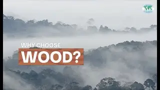 Why choose wood? Rural development, poverty alleviation, and building an eco-friendly society