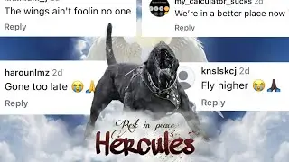Hercules - Comments Song