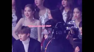 All about Rosekook | MMA18 181201