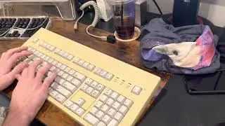 Alps SKCM Amber AEK Typing Test
