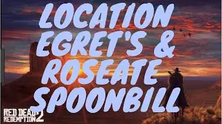 Red Dead Redemption 2 Roseate Spoonbill bird and Egrets