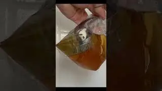 #shorts Duschkopf reinigen mit diesem genialen Trick! So entkalkst du dein Duschkopf richtig.