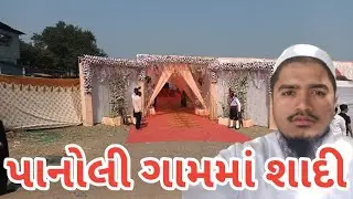 Panoli Village | Wedding Vlog | Patel Vlogs
