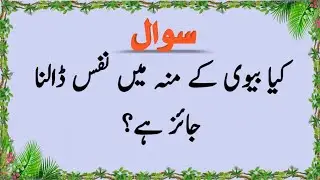 Top Islamic Questions Answers - UrduQuiz - Islamic Paheliyan - Islami SawalJawab - Islamic Quiz | Gk