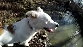 Gettin Schwifty in the Woods!
