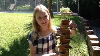 Rookie Reporter: Future of Housing by Lily, Sydney