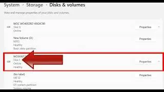 Ensuring Peak Performance: A Guide to Checking NVMe SSD Health on Windows 11