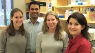 Sample Processing - EDRN protocol - Whitcomb Lab