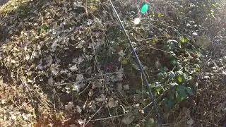 p&egrave;che &agrave;  la  truite  au  rabodeau