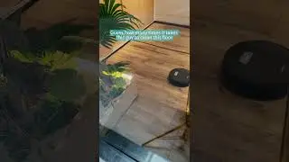 Top robot vacuum for your home #robotvacuum #household #cleaning