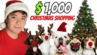 I Spent $1,000 On Christmas Gifts For Dogs and Cats!