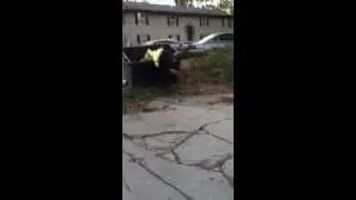 Fail at dumpster diving