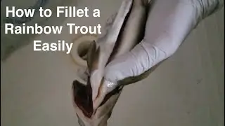 How to Gut and Fillet a Rainbow Trout Easily
