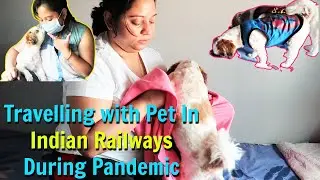 Our Experience - Travelling with Pet In Indian Railways During Pandemic