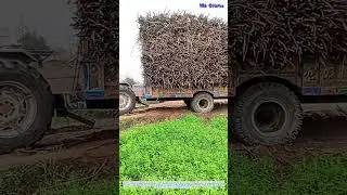 Peripecia en un camino rural: el dilema embarrado de un cami&oacute;n
