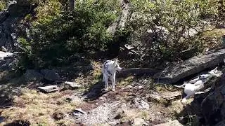 20170916 130008