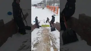 Начальник авторитета не набрал. Автор видео: @zahar6741 Смешные комментарии.