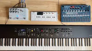 LIVEN Ambient &Oslash; , OP-1 field, CP-88, MICROCOSM | Fixed Star 2024-10-10 by atnr