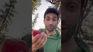 Very Berry. #animals #nature #billnye #funny #biology #education #science #skincare #makeup