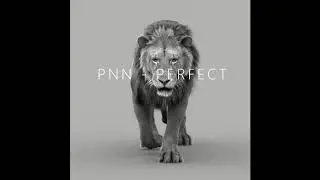 PNN - Perfect (Produced By Kato On The Track) Original Version