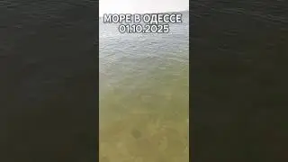 Море В Одессе 01.10.2025 Погода Сегодня Осенний Пляж Черное Море Отдых Октябрь 🌊☀️ 2