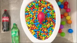Can it Flush? - Coca Cola, Fanta, Balloons, Plastic Balls, Mentos, Puppy