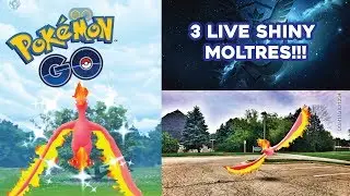 3 Live Shiny Moltres in Pokemon Go! | Moltres Day