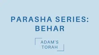 Torah Parashat Behar 2022 | Shemita & Yovel