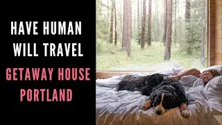 Bernese Mt Dog: Explores Getaway House Portland