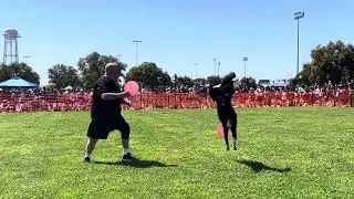 2024 UCD Picnic Day Show Steve and Chuck Norris
