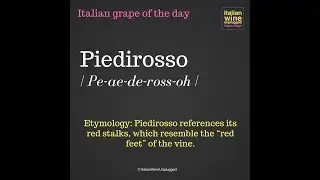 Piedirosso