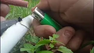 птр Тест