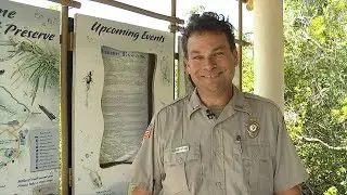 Tony Contarino - I Am Pinellas County