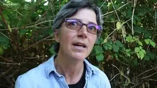 Dangerous giant hogweed removed from West Seattle yard