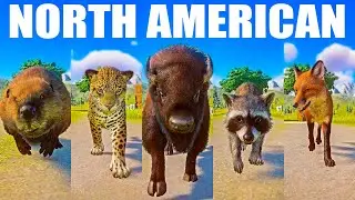North American Animals Speed Races in Planet Zoo included Beaver, Raccoon, Fox, Jaguar, Bison