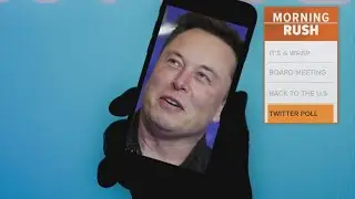 Илон Маск опрашивает пользователей Twitter о том, стоит ли ему уйти в отставку