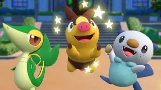 I Began Hunting Starters for My Gen 5 Shiny Dex