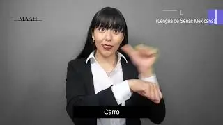 Espa&ntilde;ol Signado vs Lengua de Se&ntilde;as Mexicana