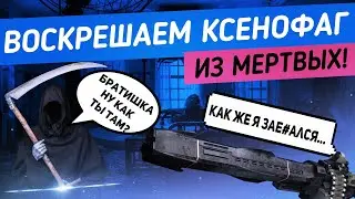 Destiny 2 - Обзор КСЕНОФАГА в 2020 году - КСЕН ЖИВ!!!