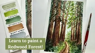 WATERCOLOR TUTORIAL | REDWOOD National Park | Step-by-Step Beginner Forest Landscape Painting