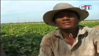 Agriculture Talk Show on CTN Cambodia Khmer News [16.08.2013] (02/02) END