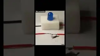 Tiny Ant Robots Navigate Your BLOOD VESSELS?! (INSANE KOREAN TECH!)