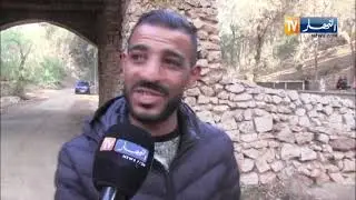 سعيدة / غابة العقبان .. كنز طبيعي دفنه الإهمال