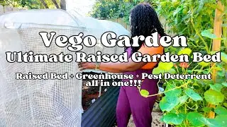 Системы приподнятых грядок и укрытий Vego Garden | Дешевый и простой способ заполнить приподнятые...