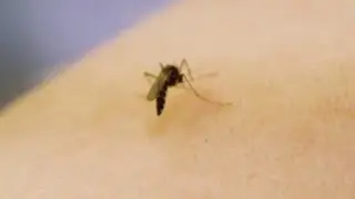 Consumer Reports: Top tested repellents for ticks and mosquitos