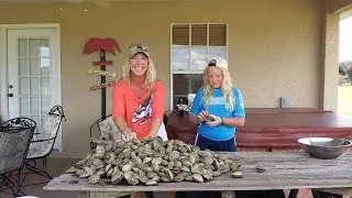 Scalloping Florida Style at Crystal River